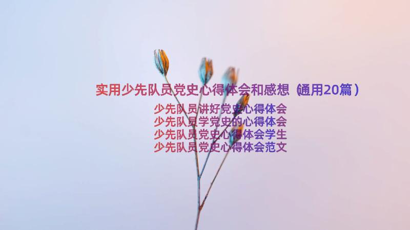 实用少先队员党史心得体会和感想（通用20篇）