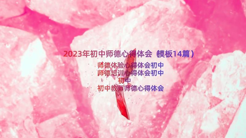 2023年初中师德心得体会（模板14篇）