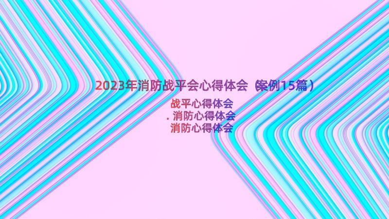 2023年消防战平会心得体会（案例15篇）