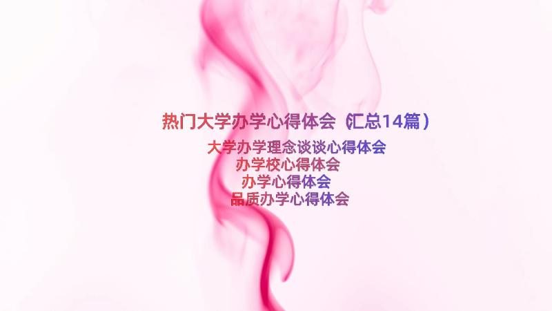 热门大学办学心得体会（汇总14篇）