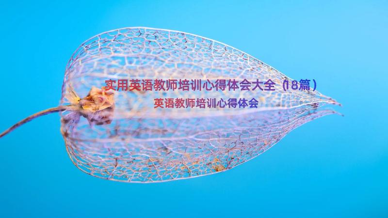 实用英语教师培训心得体会大全（18篇）