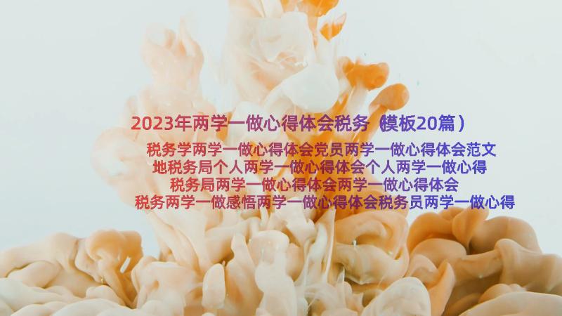 2023年两学一做心得体会税务（模板20篇）