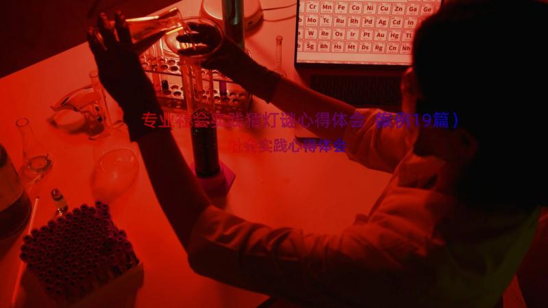 专业社会实践猜灯谜心得体会（案例19篇）