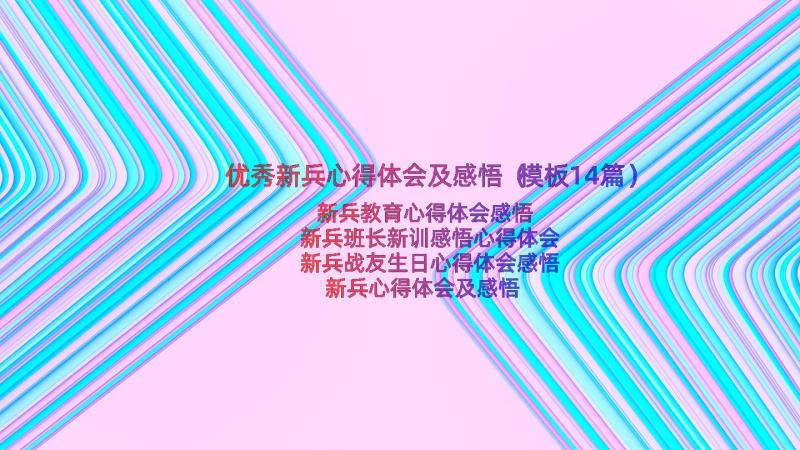 优秀新兵心得体会及感悟（模板14篇）