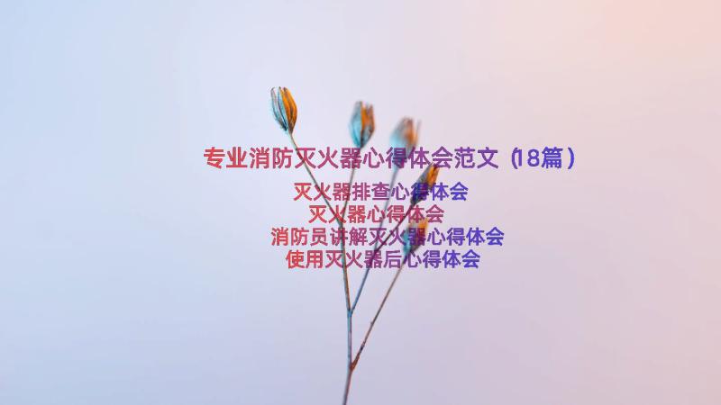 专业消防灭火器心得体会范文（18篇）