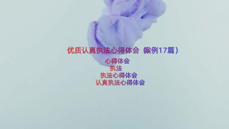 优质认真执法心得体会（案例17篇）