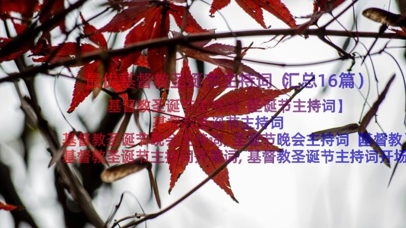 最优基督教圣诞节主持词（汇总16篇）