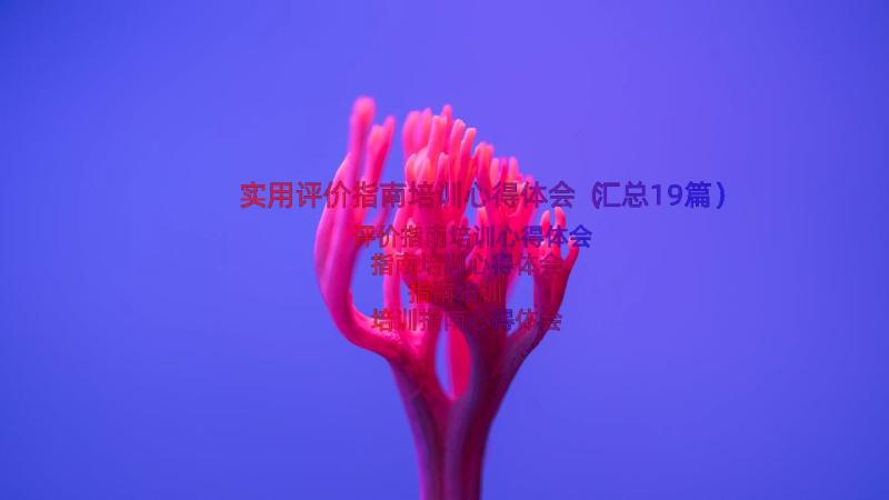 实用评价指南培训心得体会（汇总19篇）