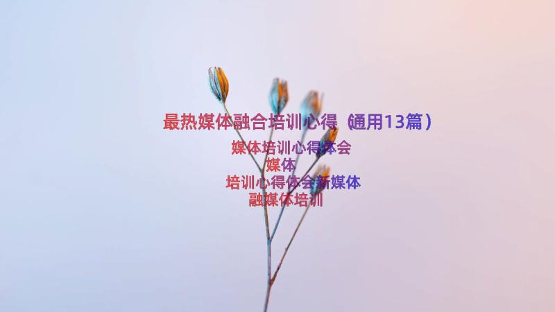 最热媒体融合培训心得（通用13篇）