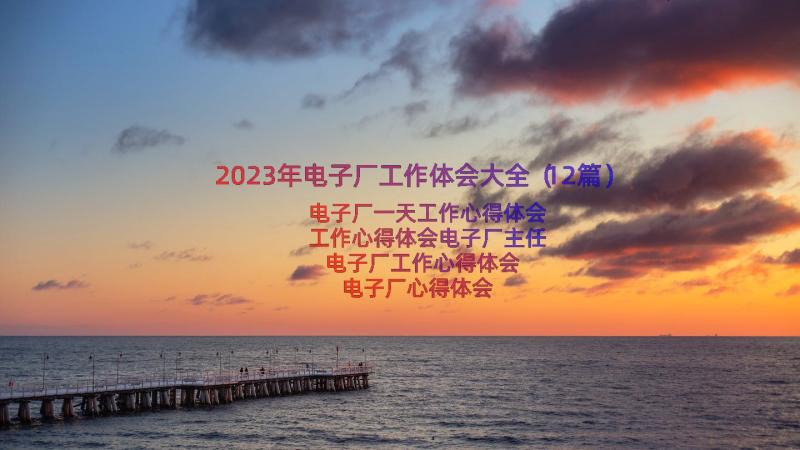 2023年电子厂工作体会大全（12篇）