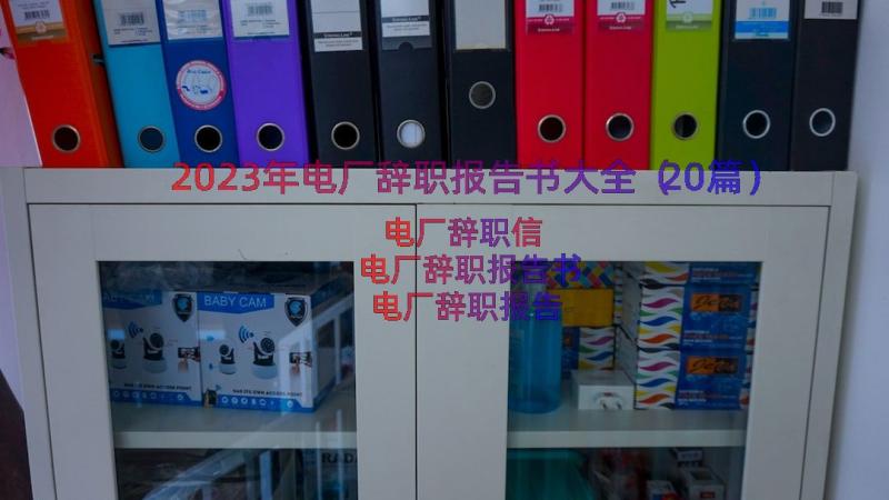 2023年电厂辞职报告书大全（20篇）