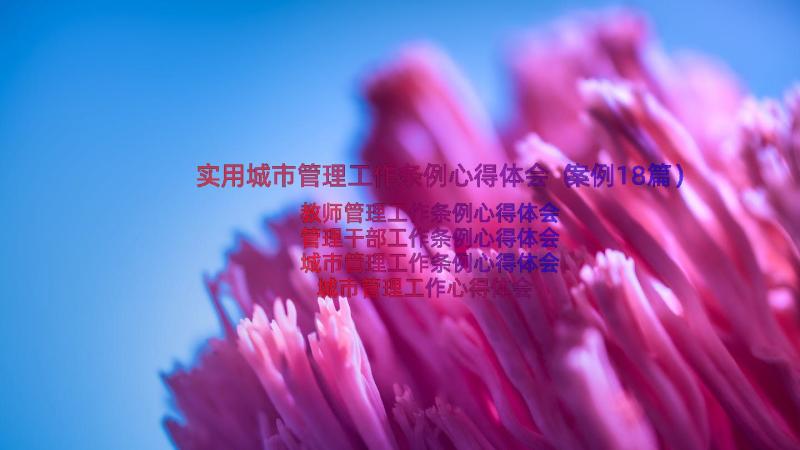 实用城市管理工作条例心得体会（案例18篇）