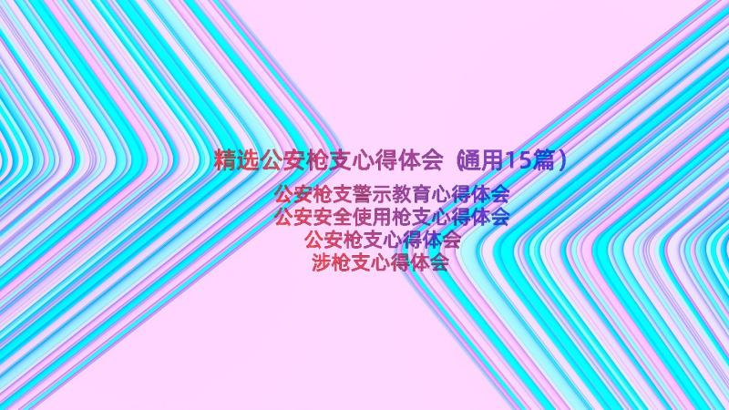 精选公安枪支心得体会（通用15篇）