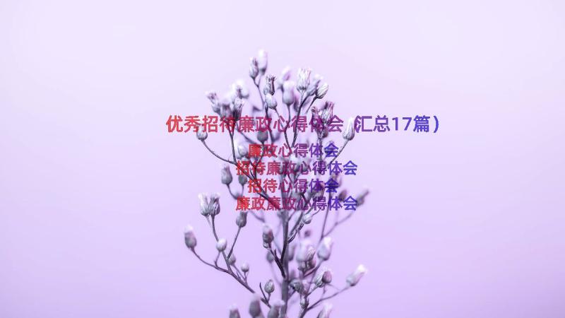 优秀招待廉政心得体会（汇总17篇）