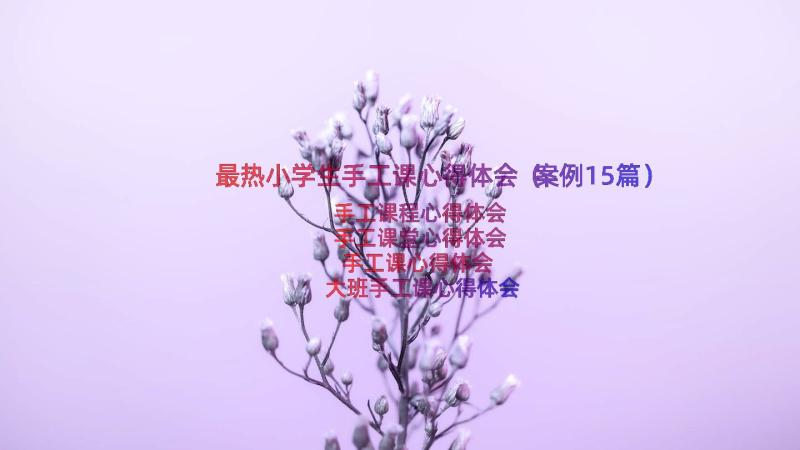 最热小学生手工课心得体会（案例15篇）