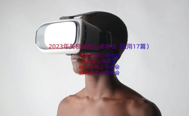 2023年关税纳税心得体会（通用17篇）