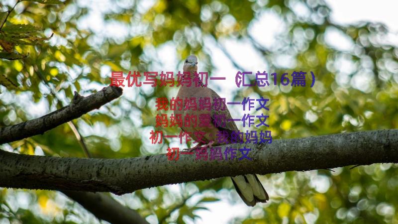 最优写妈妈初一（汇总16篇）