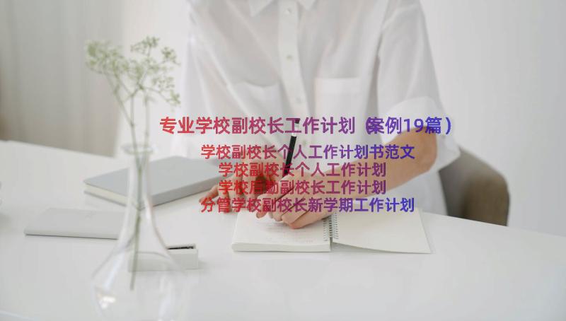 专业学校副校长工作计划（案例19篇）