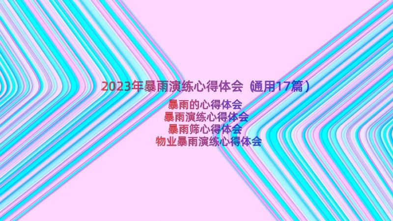 2023年暴雨演练心得体会（通用17篇）