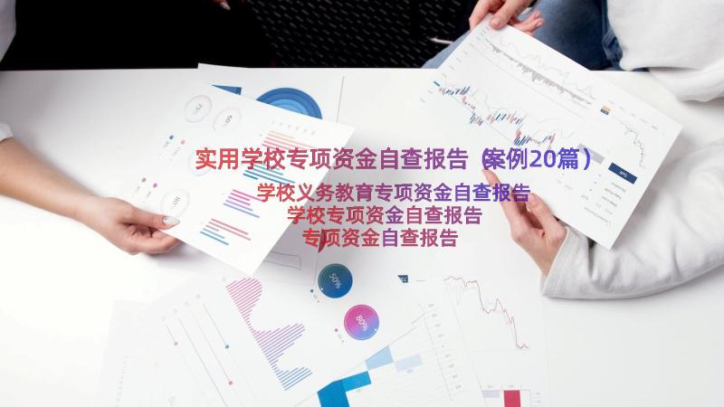 实用学校专项资金自查报告（案例20篇）