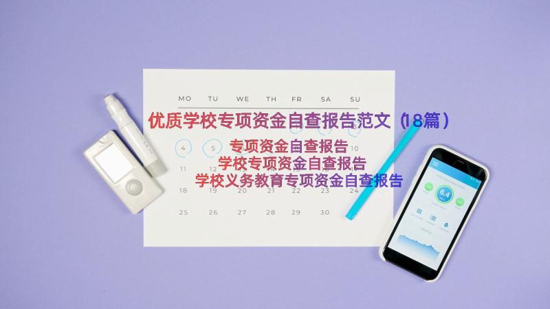 优质学校专项资金自查报告范文（18篇）