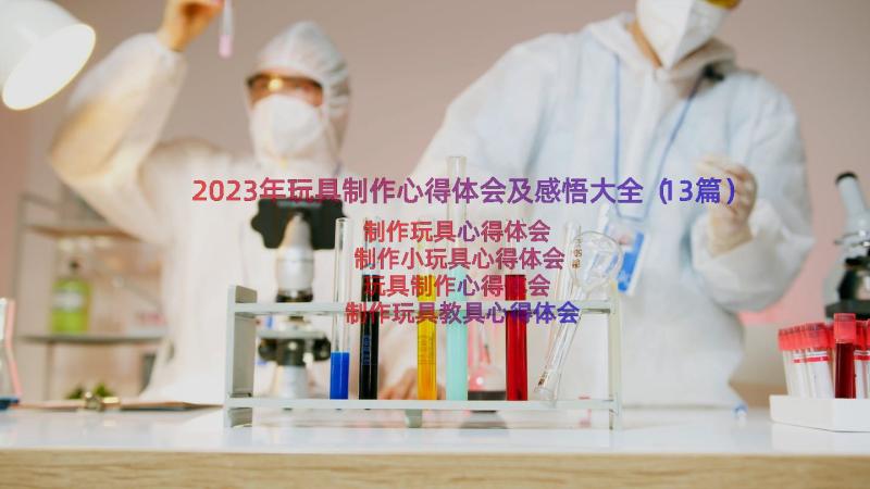 2023年玩具制作心得体会及感悟大全（13篇）