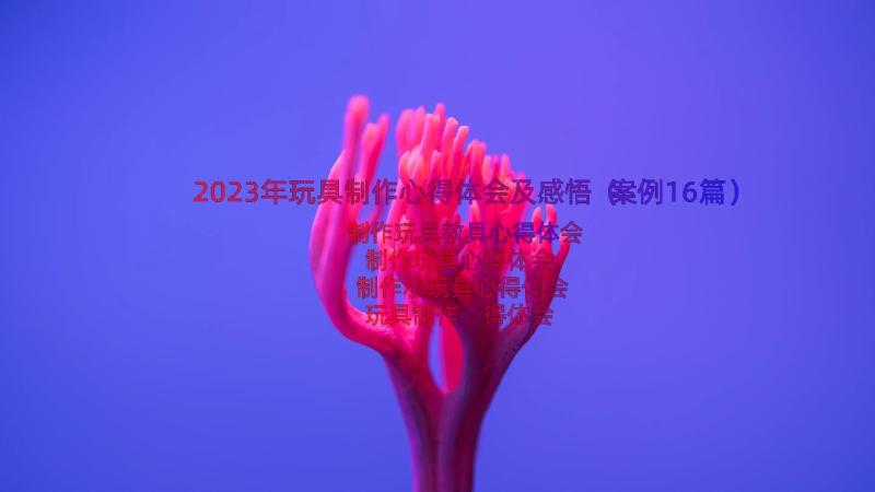 2023年玩具制作心得体会及感悟（案例16篇）