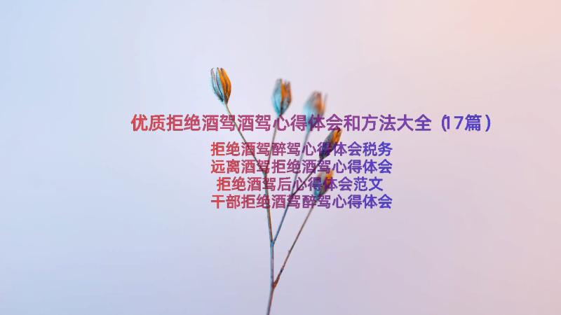 优质拒绝酒驾酒驾心得体会和方法大全（17篇）