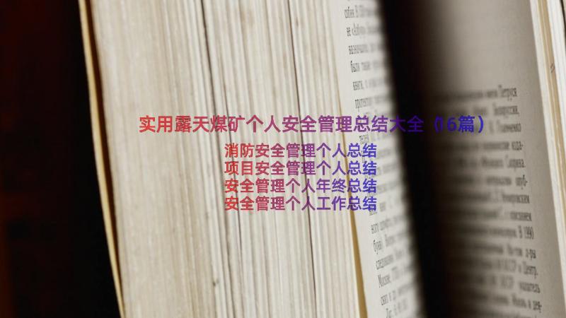 实用露天煤矿个人安全管理总结大全（16篇）