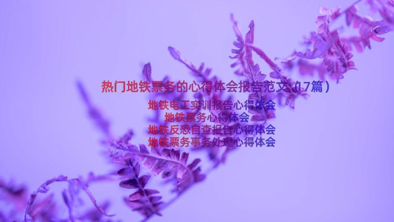 热门地铁票务的心得体会报告范文（17篇）