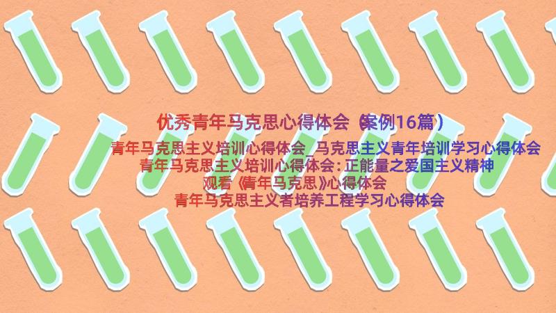 优秀青年马克思心得体会（案例16篇）