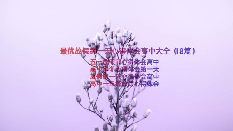 最优放假第一天心得体会高中大全（18篇）