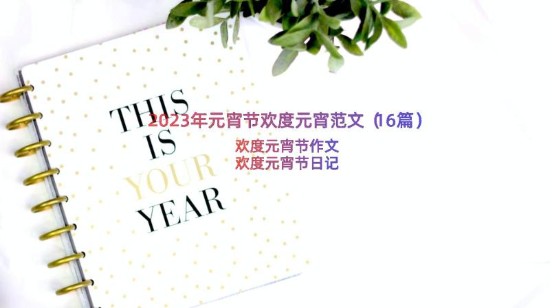 2023年元宵节欢度元宵范文（16篇）