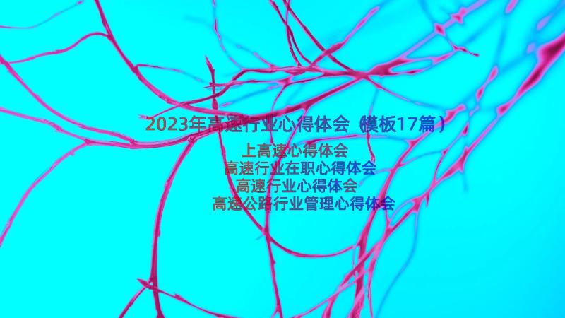 2023年高速行业心得体会（模板17篇）