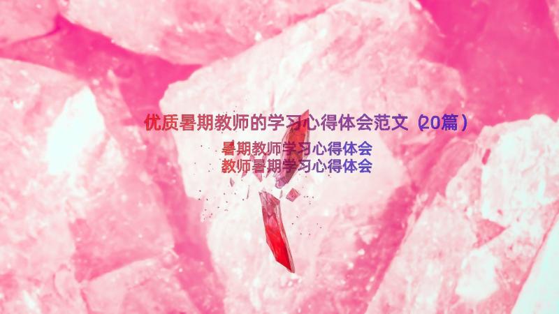 优质暑期教师的学习心得体会范文（20篇）