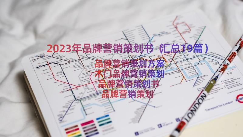 2023年品牌营销策划书（汇总19篇）