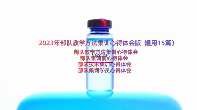 2023年部队教学方法集训心得体会版（通用15篇）