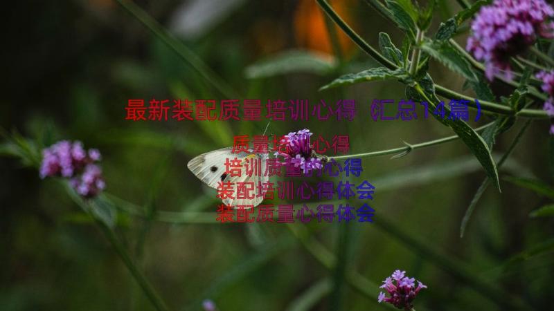 最新装配质量培训心得（汇总14篇）