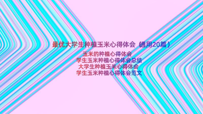 最优大学生种植玉米心得体会（通用20篇）