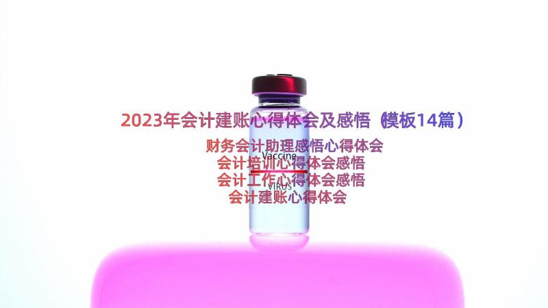 2023年会计建账心得体会及感悟（模板14篇）