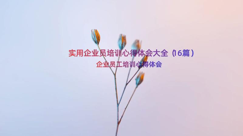 实用企业员培训心得体会大全（16篇）