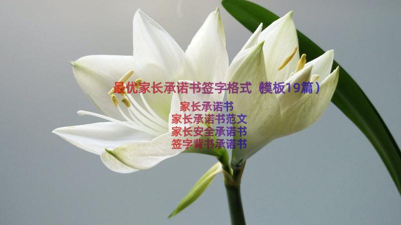 最优家长承诺书签字格式（模板19篇）