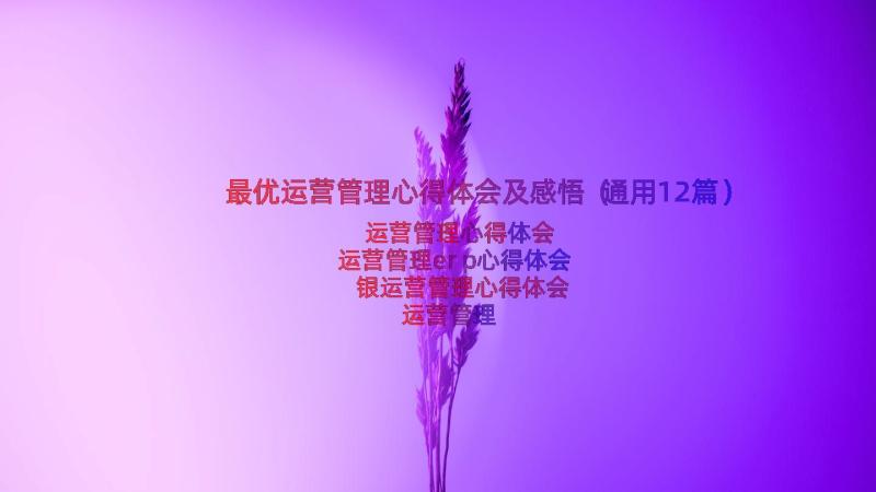 最优运营管理心得体会及感悟（通用12篇）