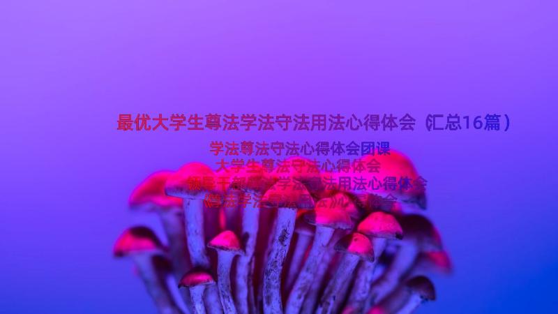 最优大学生尊法学法守法用法心得体会（汇总16篇）