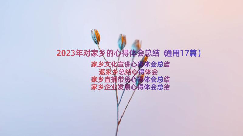 2023年对家乡的心得体会总结（通用17篇）