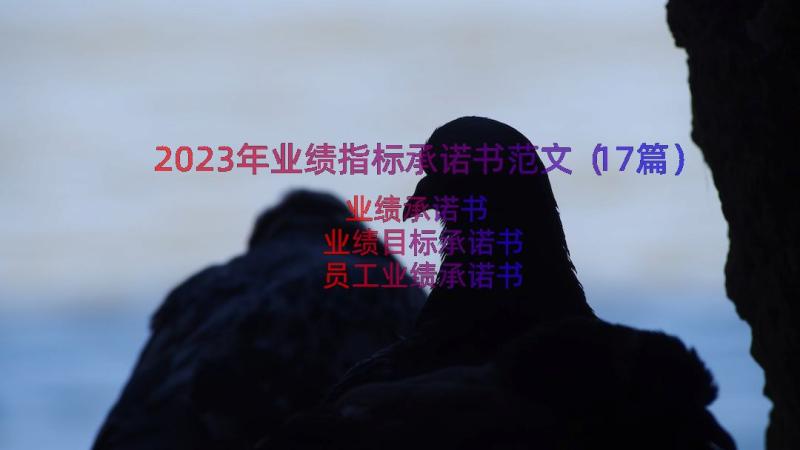 2023年业绩指标承诺书范文（17篇）