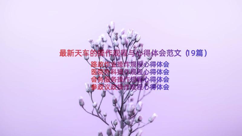 最新天车的操作规程与心得体会范文（19篇）