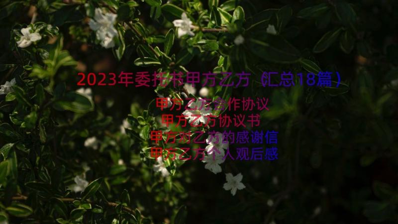 2023年委托书甲方乙方（汇总18篇）