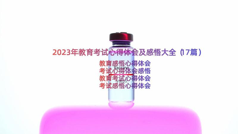 2023年教育考试心得体会及感悟大全（17篇）