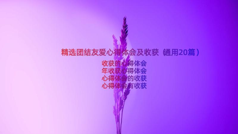 精选团结友爱心得体会及收获（通用20篇）